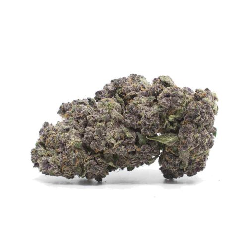 Blackberry Kush