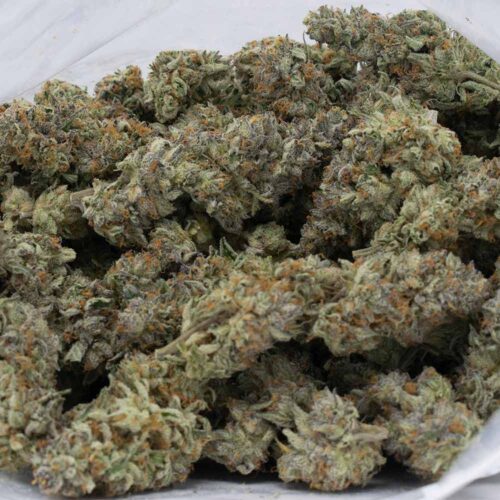 Blue Nerds - Image 2