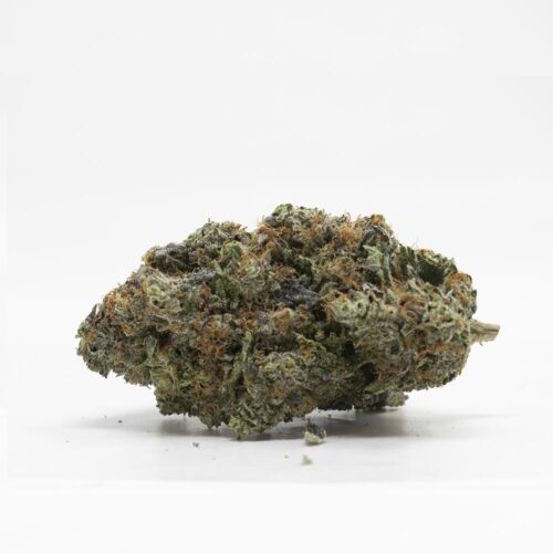 Lindsay OG
