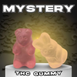 Mystery THC Gummy (100mg)