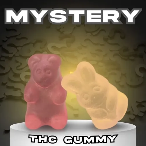 Mystery THC Gummy (100mg)