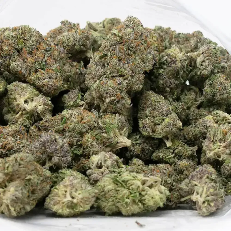 pink kush strain 2 4