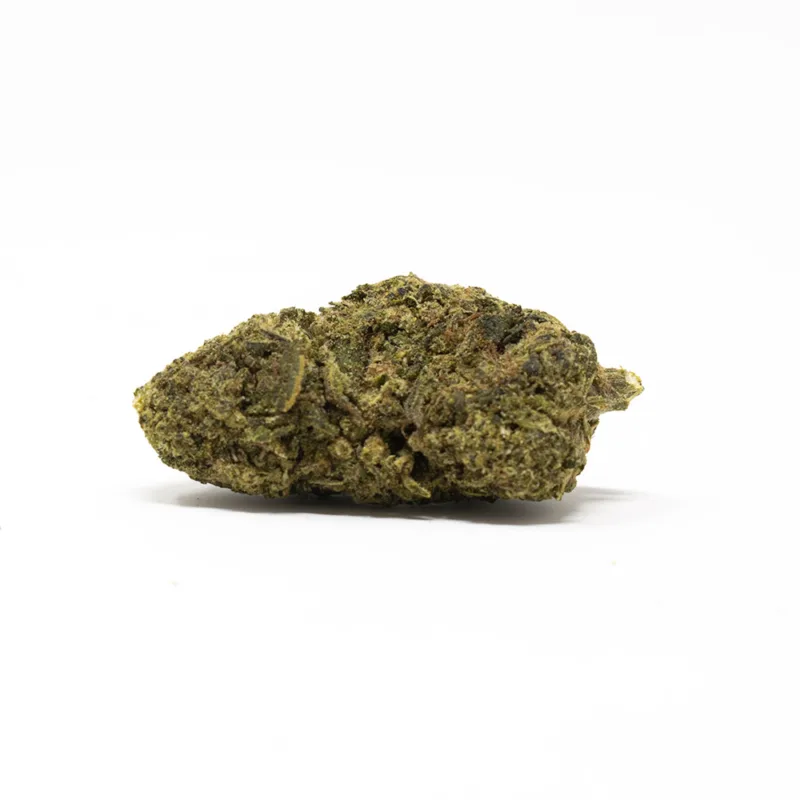 6092eba7c6745cb241bfd83b53272adb Gorilla Zkittles