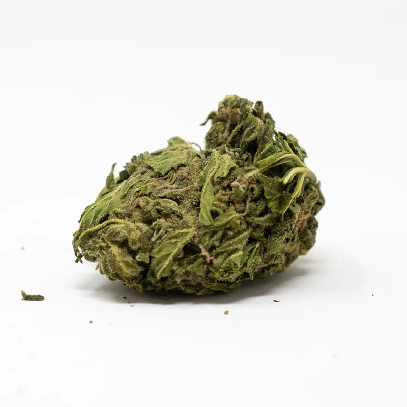 Bumper OG