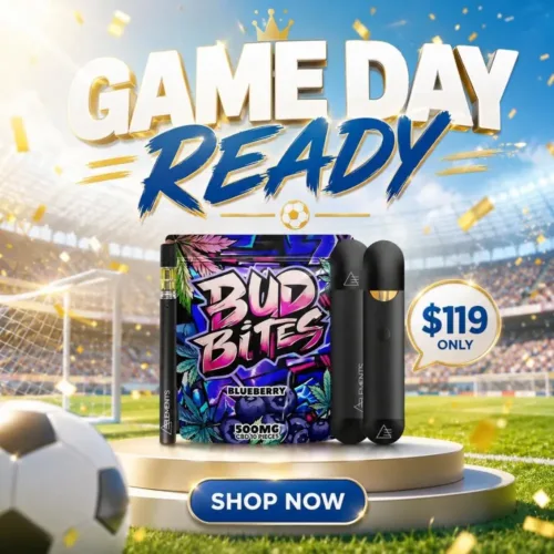 GAME DAY READY | 2 FREE GIFTS!