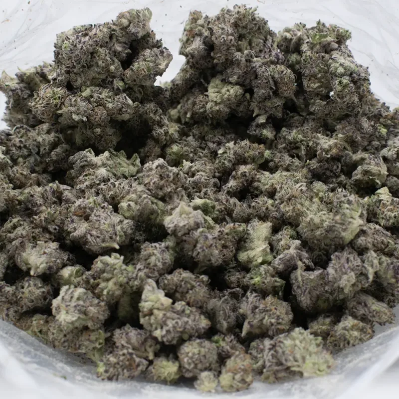 aloha-sugar-strain Aloha Sugar