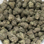 Apple Fritter