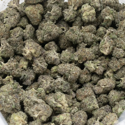 Apple Fritter
