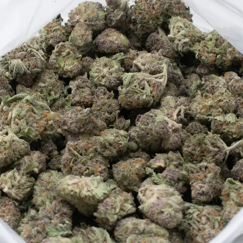 berry-bonds-strain Berry Bonds