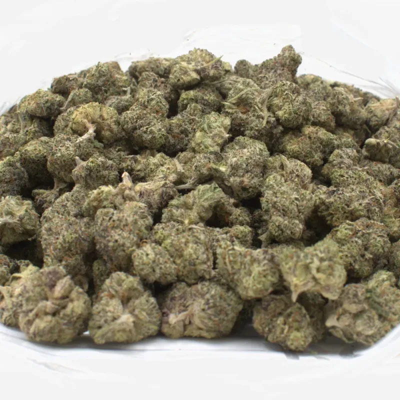 devil driver strain 1