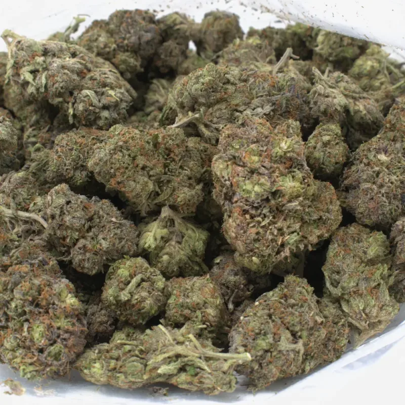double db strain 1