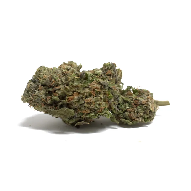 double-db-strain Double DB