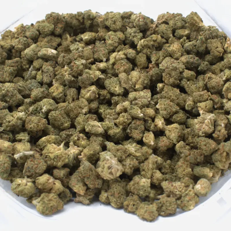 ghost gelato strain 1