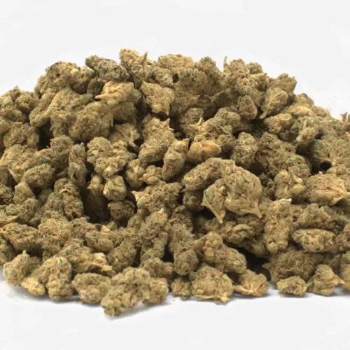 Ghost Gelato