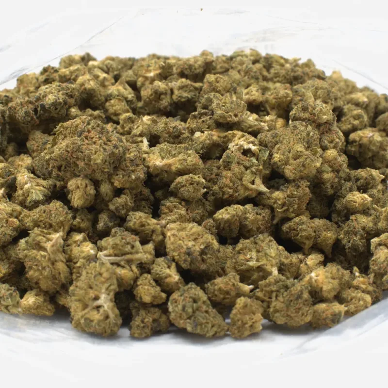 ghost-train-haze-strain Ghost Train Haze
