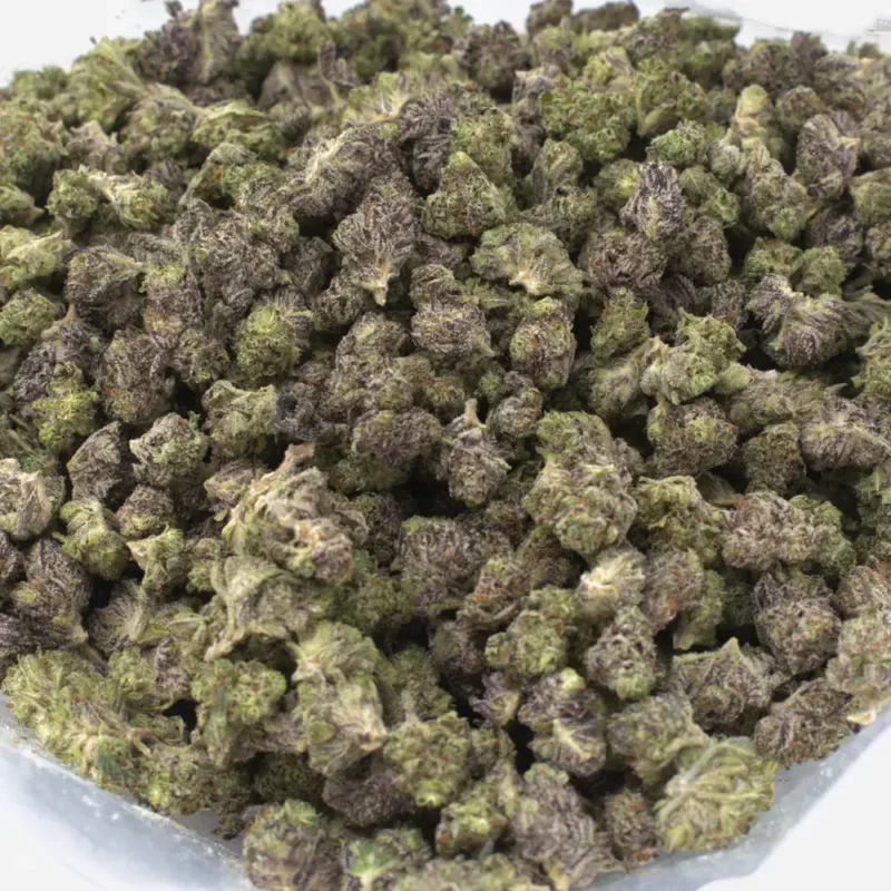 grape gorilla strain 1
