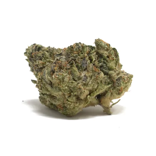 Grape Gorilla