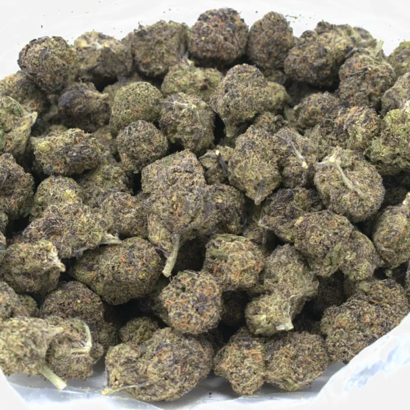 purple octane strain 1