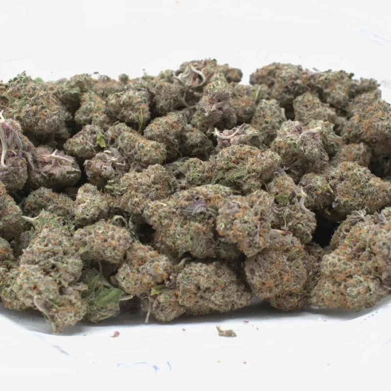 purple punch strain 2