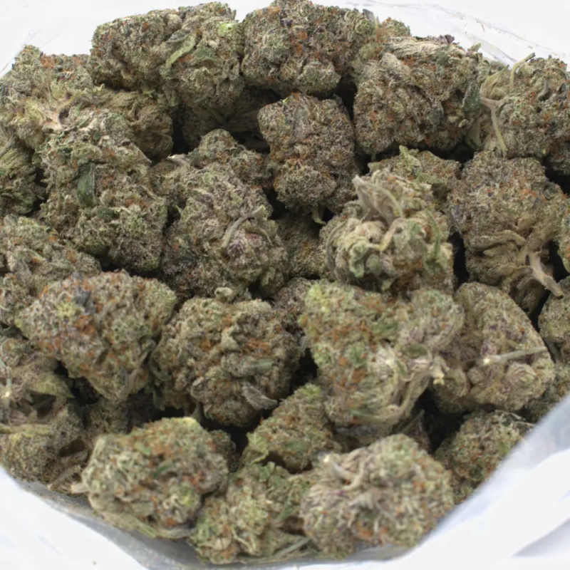slurry crasher strain 1