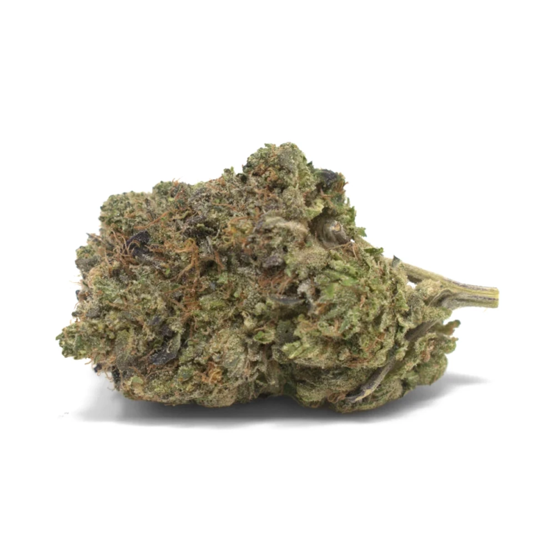 gas-mask-strain gas mask strain