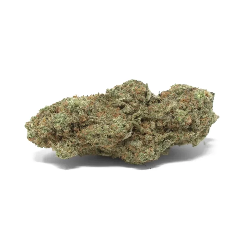girl-scout-cookies-strain girl scout cookies strain
