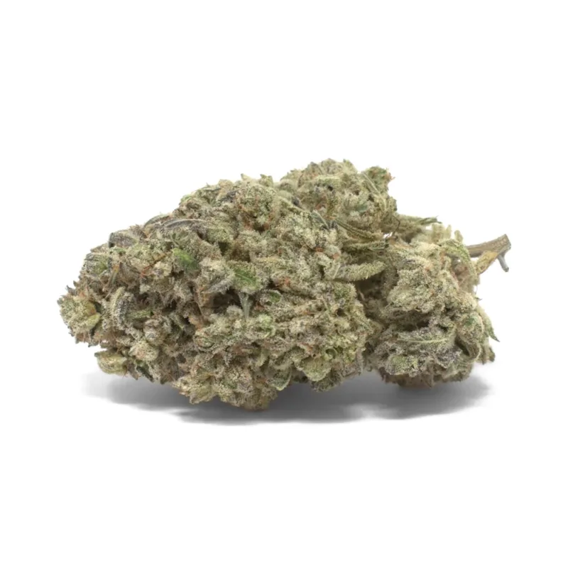 khalifa-mintz-strain khalifa mintz strain