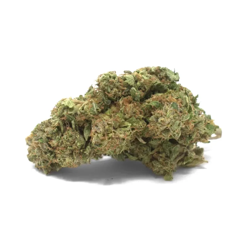 pinetar-kush-strain pinetar kush strain