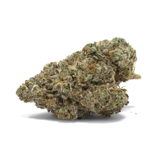 Black Truffle Strain