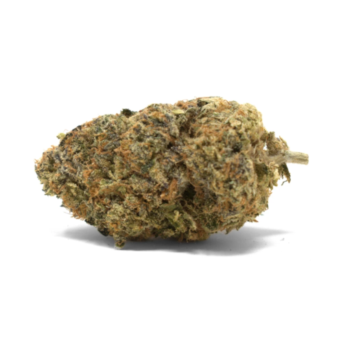 Fuzzy Peach - Image 1