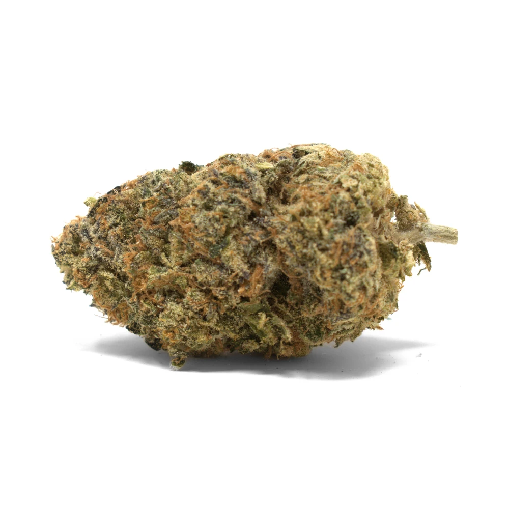Fuzzy Peach Strain