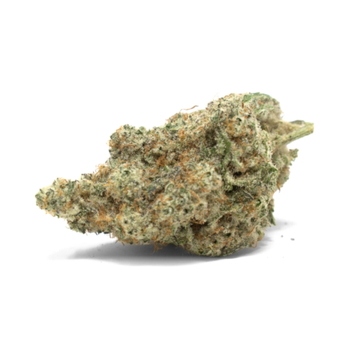 Grape Stomper Strain