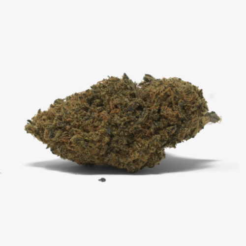 Treasure Island - Image 1